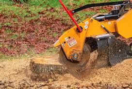 Best Grass Overseeding  in Roosevelt, UT
